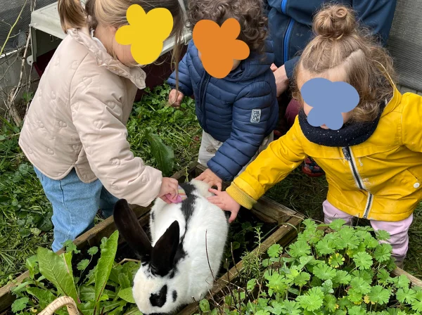 Trois enfants caressent un lapin lors d'une médiation animale à la crèche